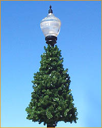 lampost-round-tree-JT-522 Lamppost Round Tree JT 522