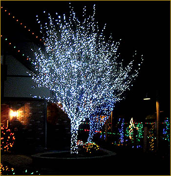 Mini Light LED Tree Home