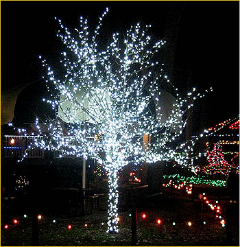 Mini Light LED Tree Park