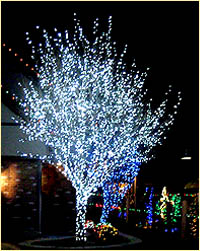 Mini Light LED Tree Home