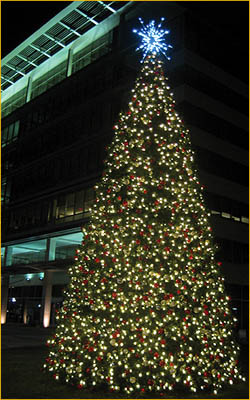 Large Panel Tree Allentown, Pa