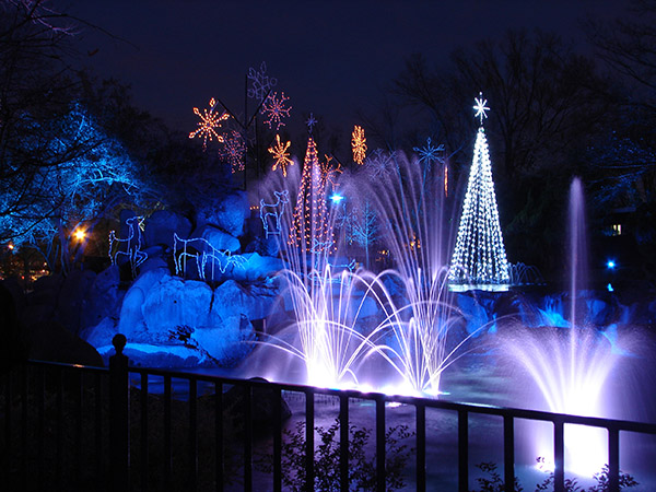 Rileighs Outdoor Decorations - Tree Lighting Installation Water Fountains