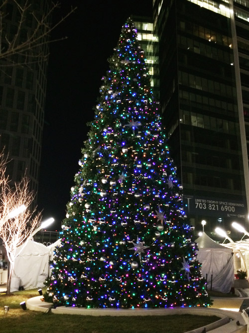 Paramount Christmas Tree - Night time lighting