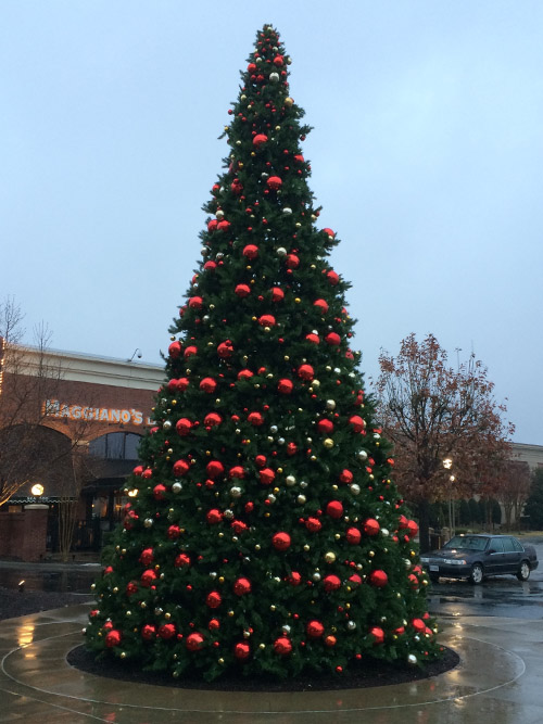 Paramount Christmas Trees - Christmas Ornaments