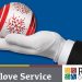 Rileighs White Glove Service - Hand and Ornament