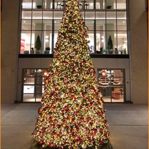 Outdoor Paramount Christmas Tree