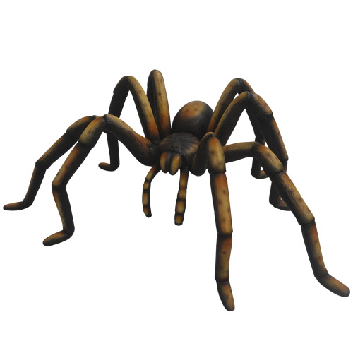 2505-6240-1 Spider Black Recluse_5 (170x110x65)