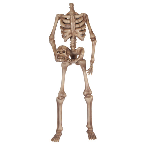 2505-6262-3 Skeleton 180 Headless (55x80x140)