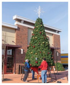 Rileighs-Outdoor-Decor-LifestyleCenters-ChristmasTree-Installation