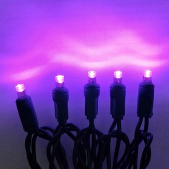 Halloween Lighting Decoration - Mini LED Wide Angle Purple