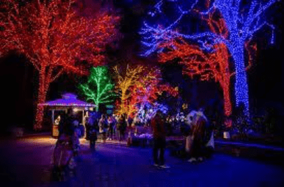 Christmas lights at Maryland Zoo