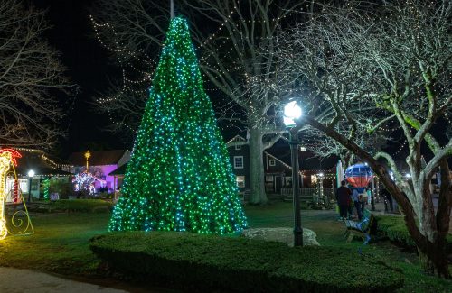 Blue and green led tree lighting