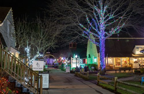 Outdoor Shopping Area with Christmas Tree Lights