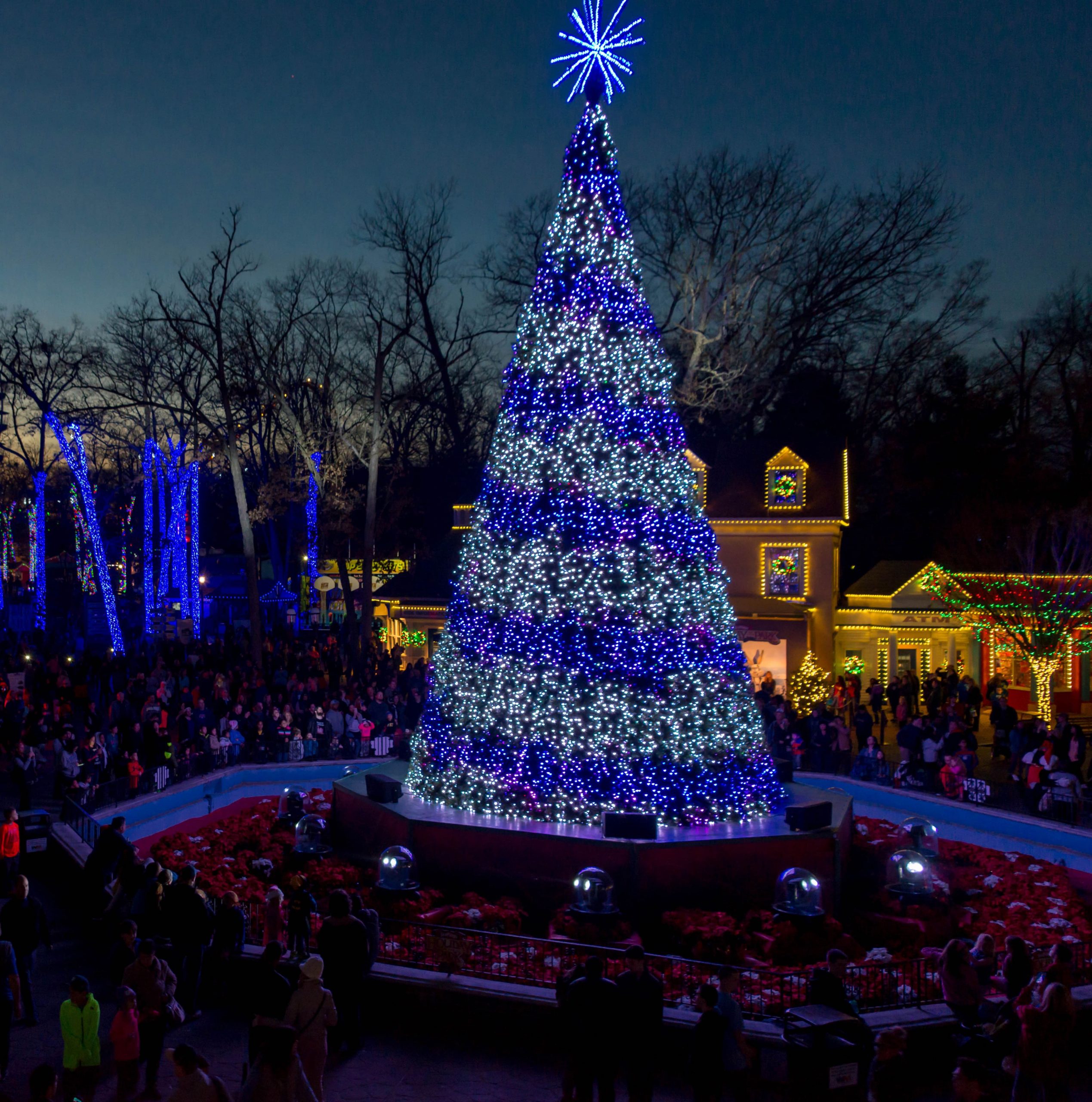 Allentown Christmas Tree Lighting 2022 Pixel Pine Smart Tree - Holiday Outdoor Decor