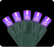 70wide-purple 70wide-purple