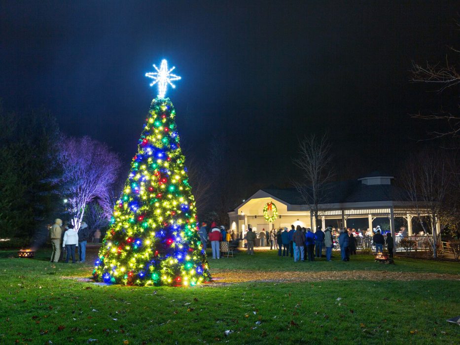 garden spot village tree christmas lights