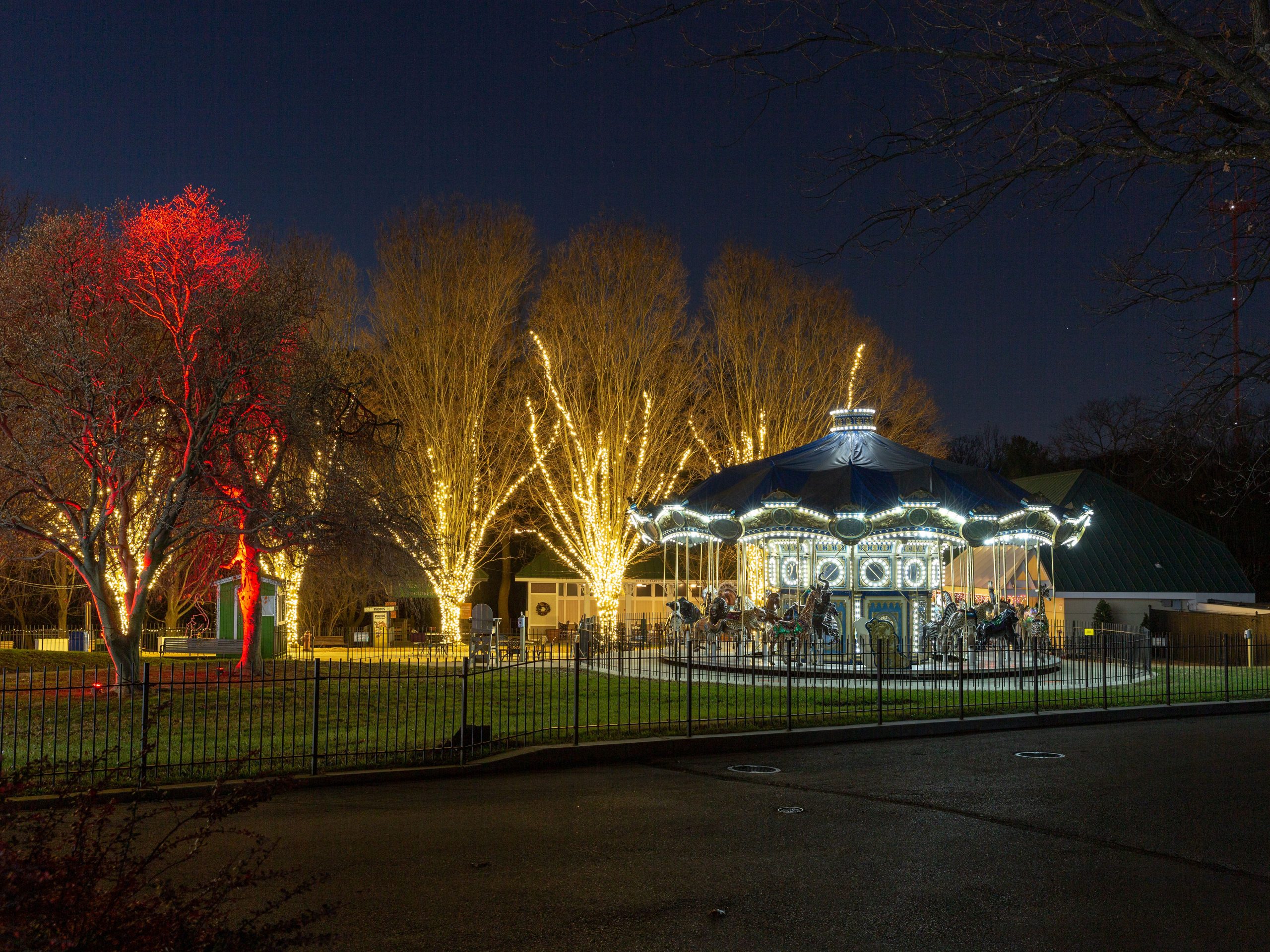 holiday light show - zoo