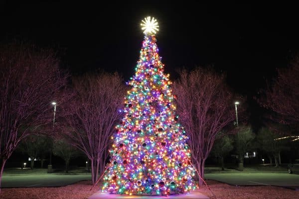 LED C7 Branch Tree (Multiple Sizes + Colors) - Holiday Outdoor Decor