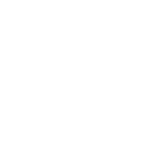 The holiday collections