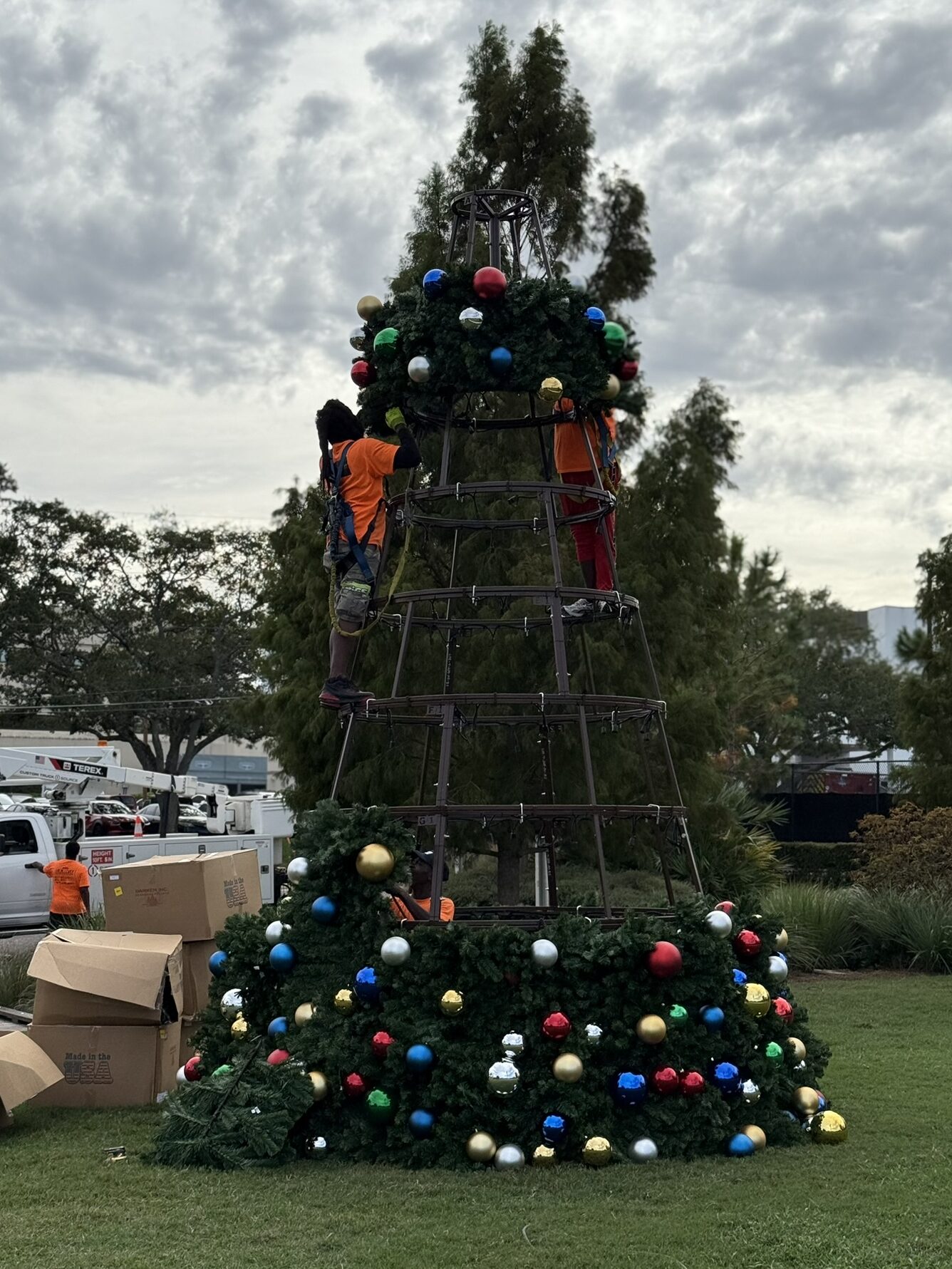 panel tree installation HOD